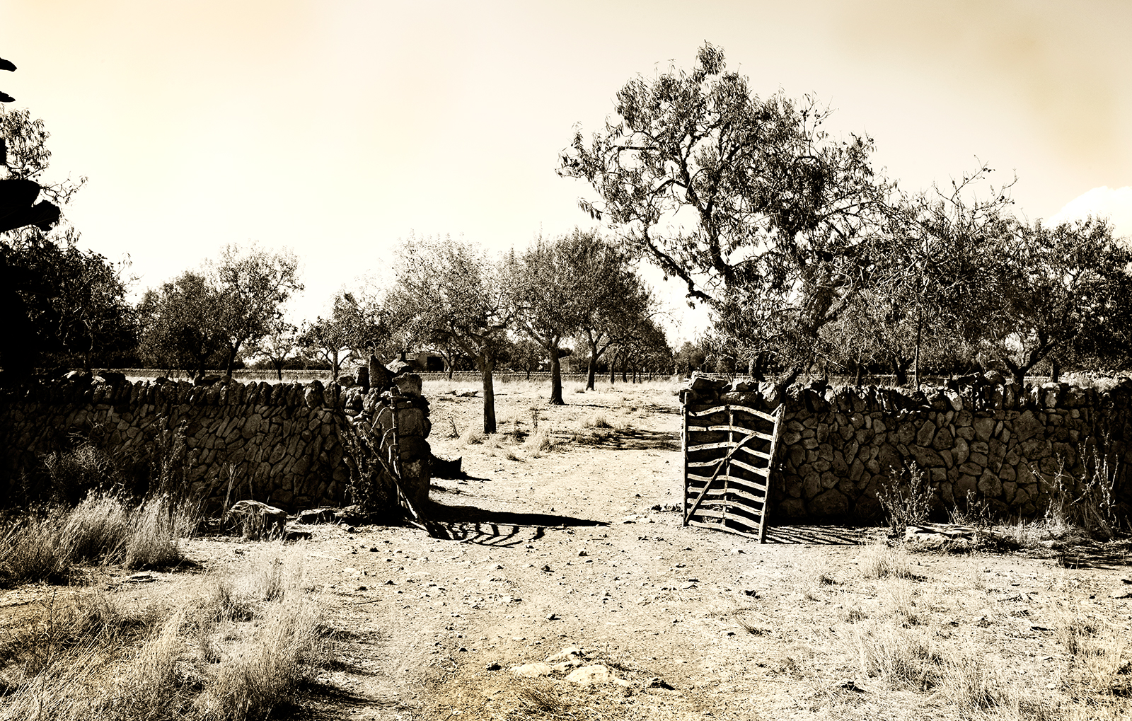 Old farm gate at Mallorca